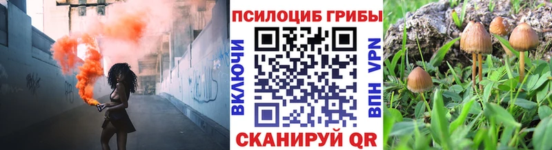 Галлюциногенные грибы прущие грибы  Купить  Саянск 